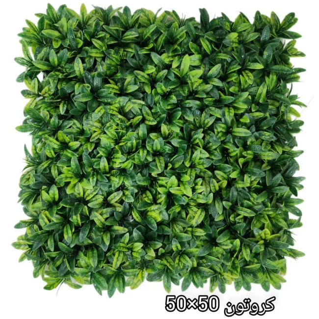 گرین وال کروتون 50*50