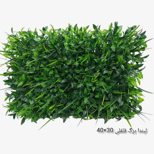 گرین وال لیندا برگ فلفلی ساده 40*30