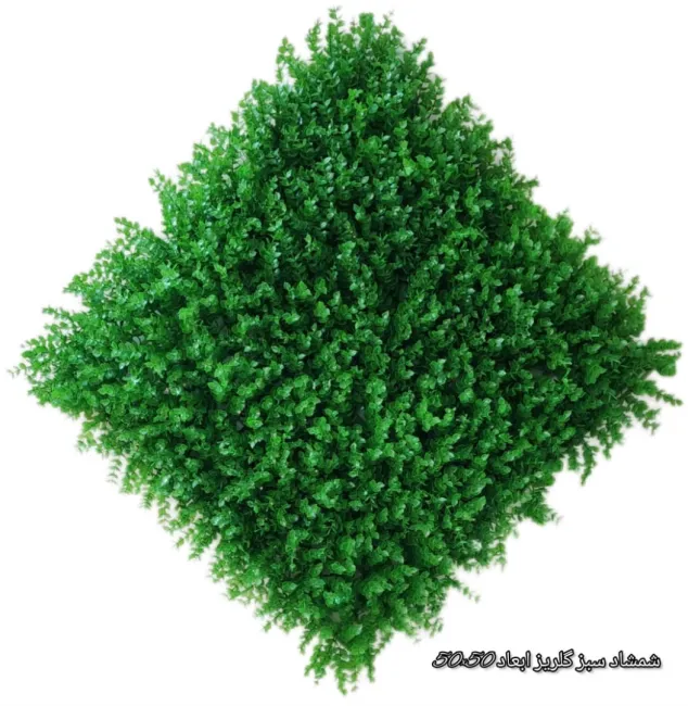 گرین وال شمشاد گلریز 50*50