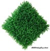 گرین وال شمشاد گلریز 50*50